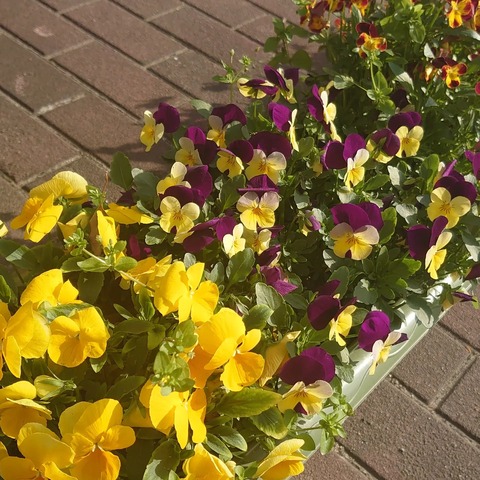 IMG_20220407_120214_720