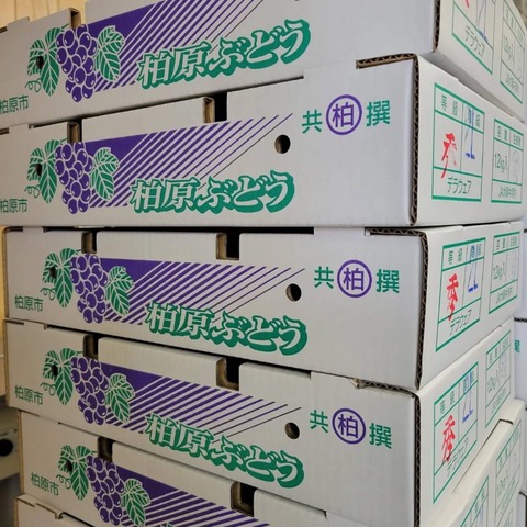 63455D5A-2BE8-4173-BA1C-8E5145E49268