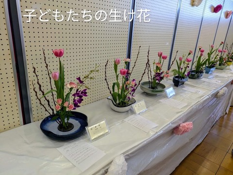 7E176618-1AEE-4E68-A5C6-4BE2616FBEEC