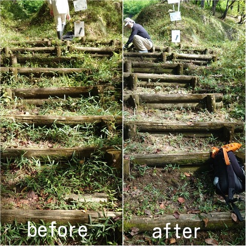 PhotoGrid_Plus_1664075161452