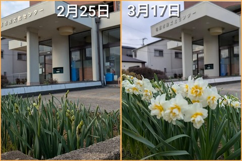 BBC0B860-A435-43B2-AAF0-422DBCCA8446