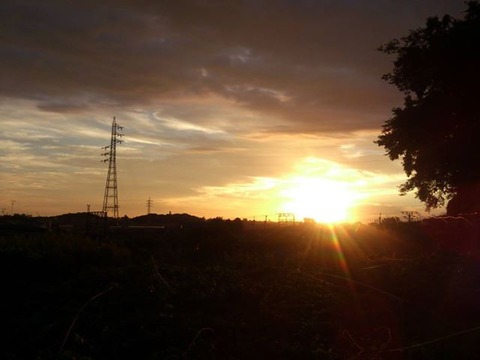 1150418_161919517338029_1989905847_n