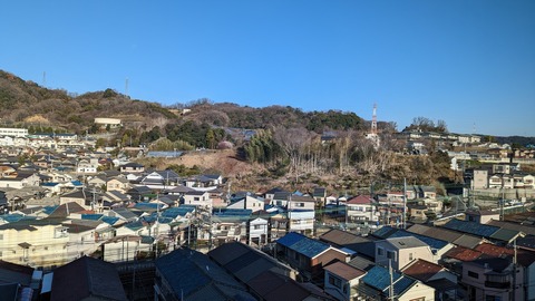 PXL_20230228_071758808