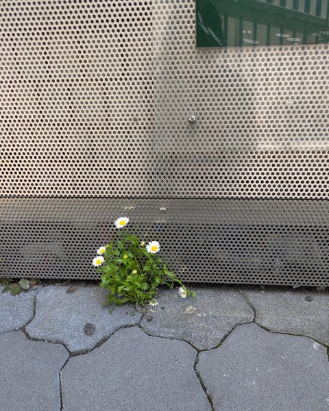 D5E484E3-9136-43BC-A727-E281E331EF38