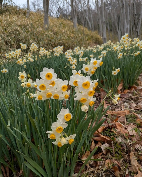 C31D4B65-D382-4245-8789-C9E3A0EE63A0