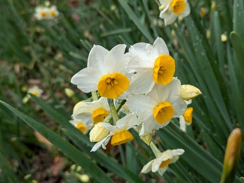 D2F181EE-706E-4AF2-B9ED-9B8ACBDE37E1