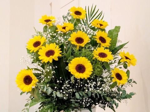 0A43A02A-2DCE-4C2D-B5A8-056E3ECE3DAA