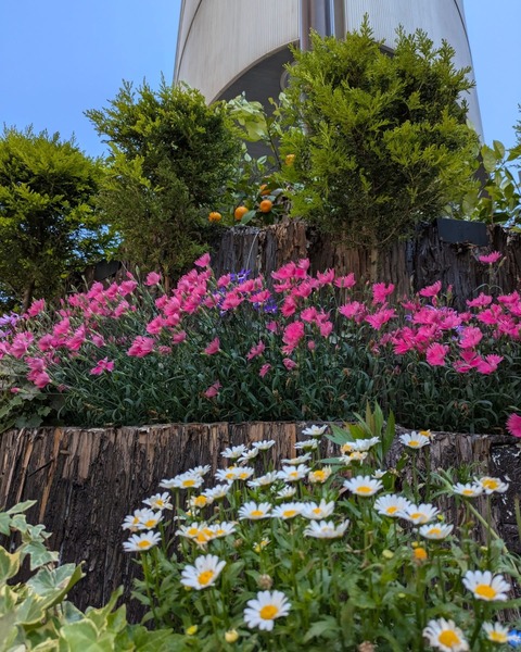 A03FF1F4-63F2-4EFC-A712-48C953E1EF54