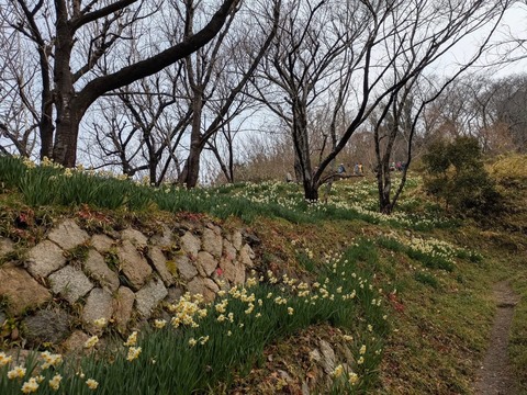 6E272CC9-20D1-435D-B757-7D9F20D58040