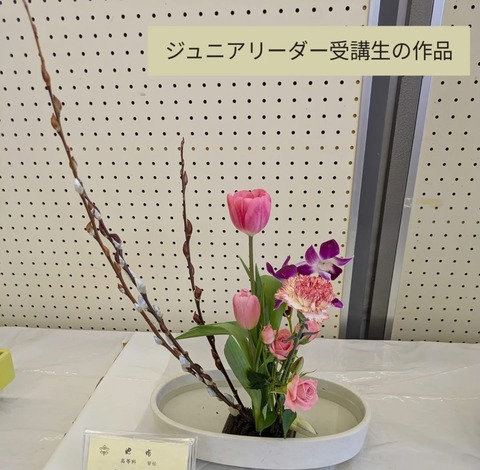 64A4A4B9-1C08-4721-9B85-264EF94CEE49