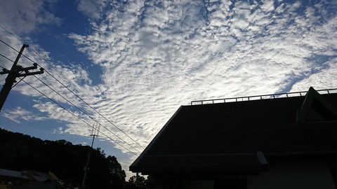 [画像:d348251e-s.jpg]