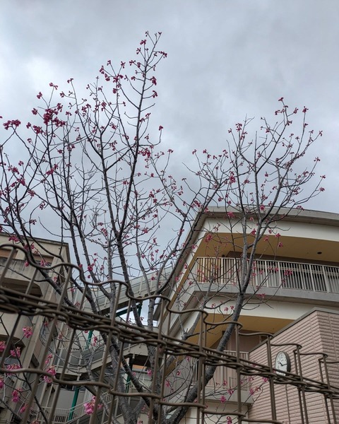 AF8302A2-DF46-47EE-9FC9-8E81D2974DB1