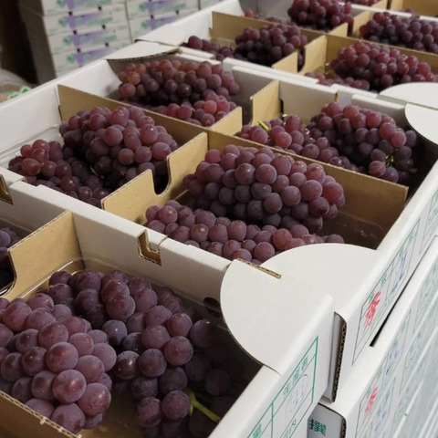 61226FE9-1839-43F2-B87B-CE8D4B4C9458