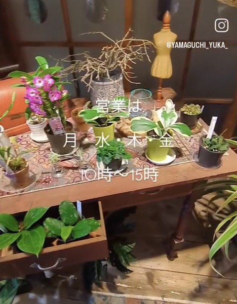 5CC24033-F25F-4711-9324-686A97635732