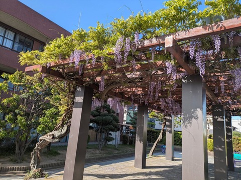 B5140AB1-20DF-425C-BB7B-7A0F603506A9