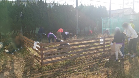 Point Blur_20211120_114304