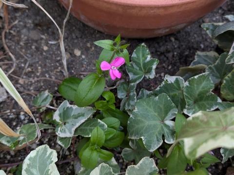 76C7E360-D2BC-4C80-8822-4B02E5F206E7