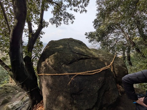 8FCC0553-F21F-4F23-996C-7828F205444F