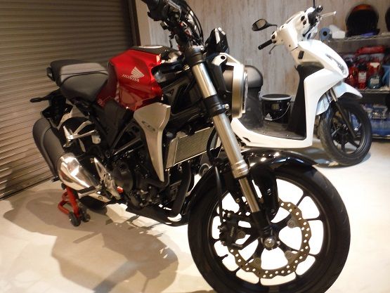 CB250Rのサイドカウルを外せるか試す : 足したら15気筒