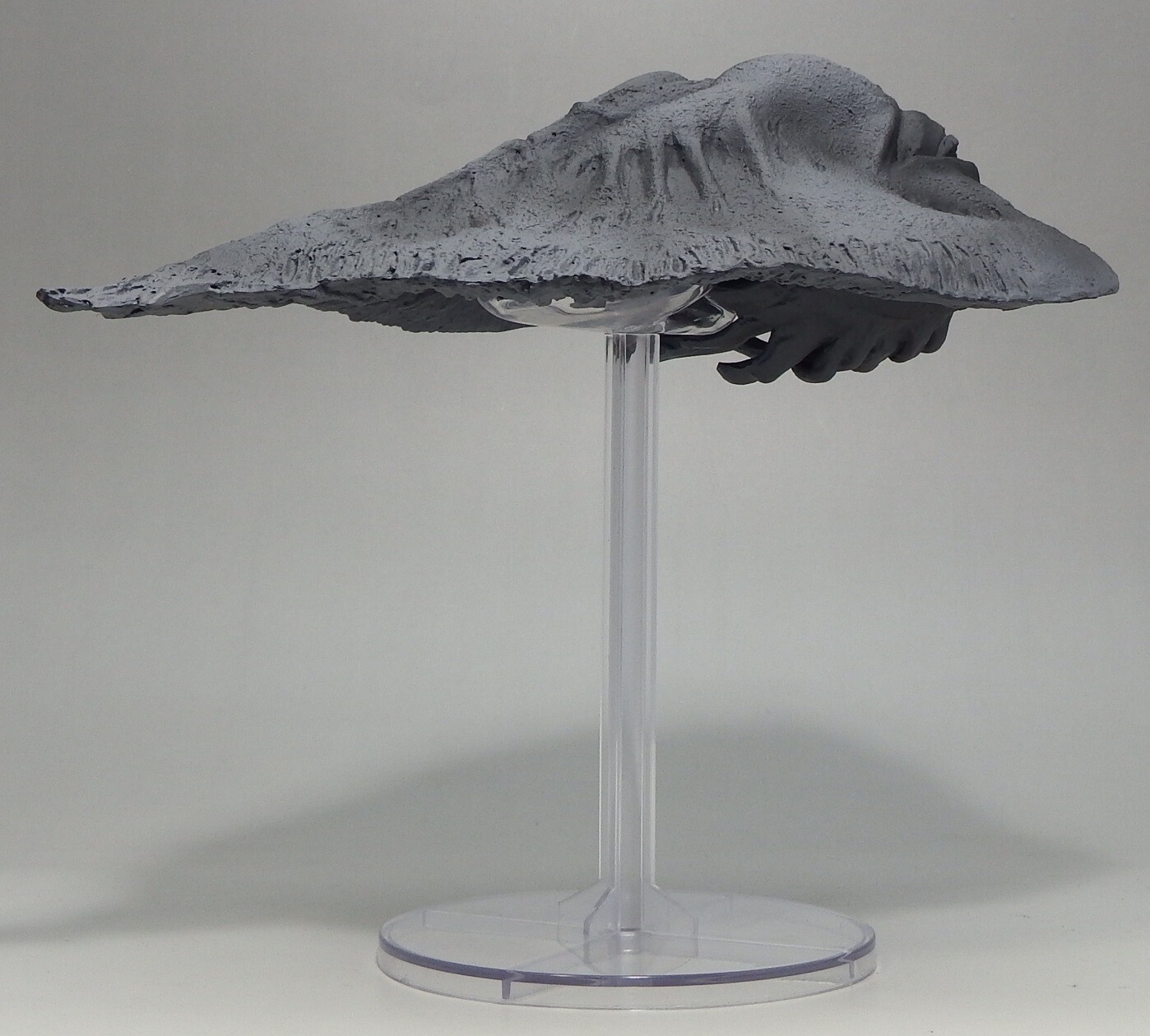 Amazon.co.jp: TAMASHII NATIONS バンダイ スピリッツ ゴジラ対