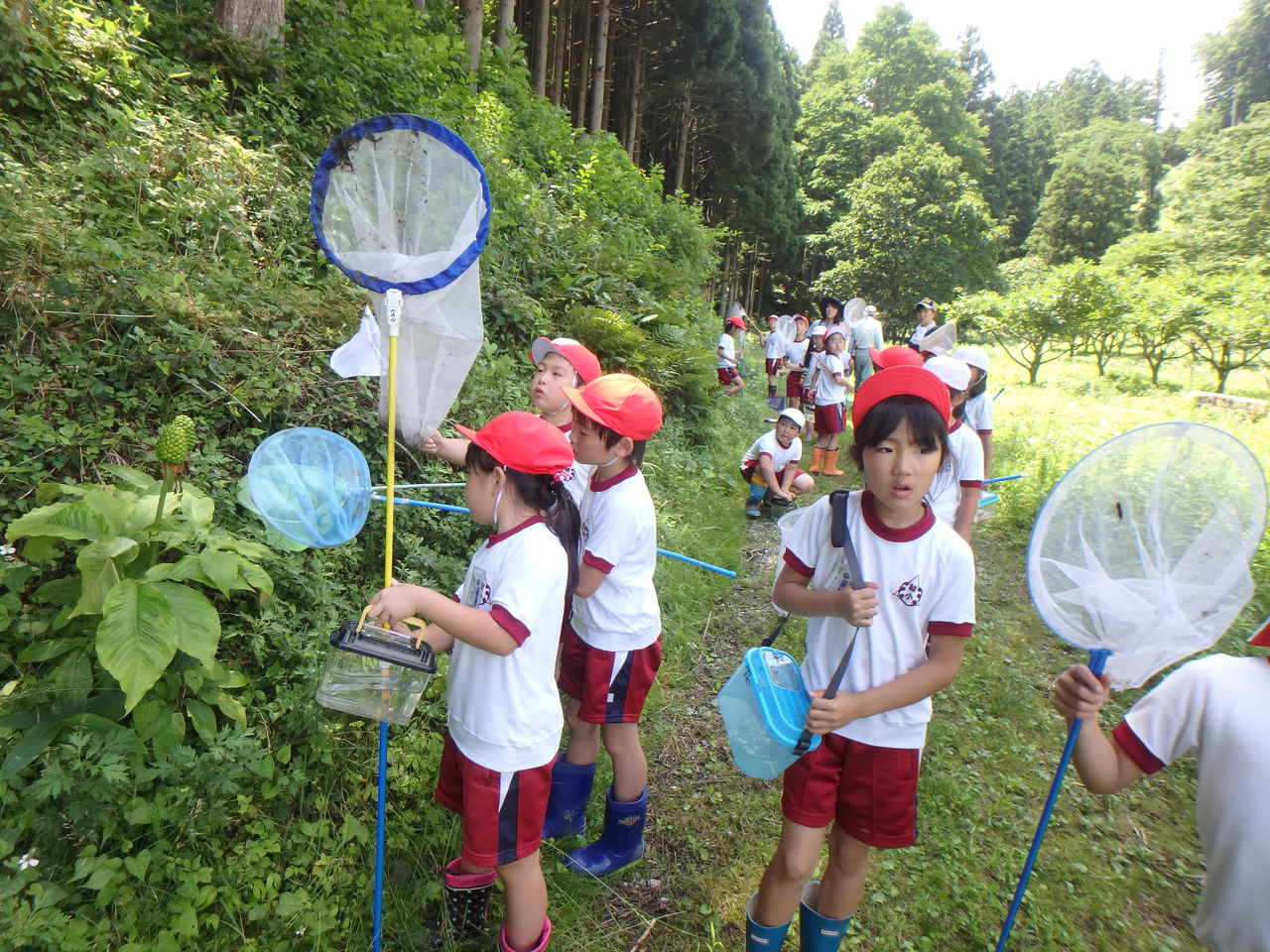 自然観察にやって来た２年生 大小迫 つむぎの家