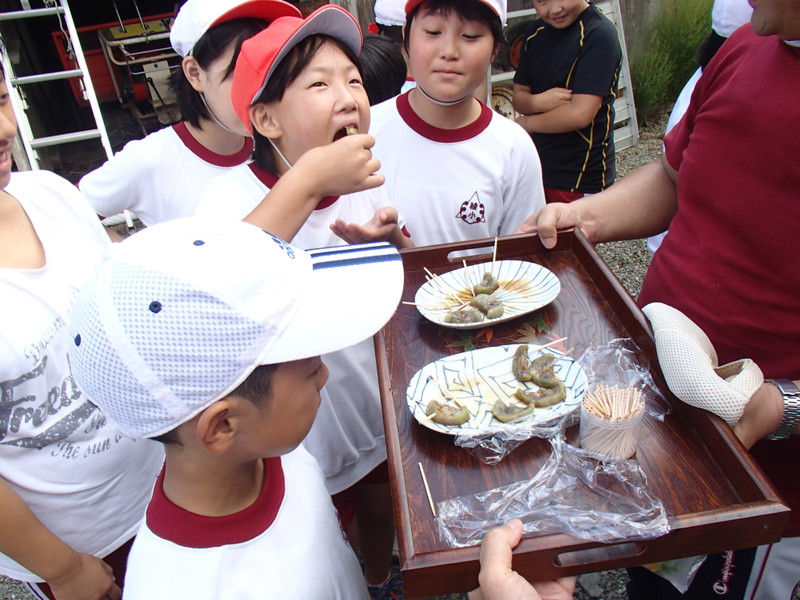 ヘチマと植樹の観察 五感を使って自然を観る 大小迫 つむぎの家