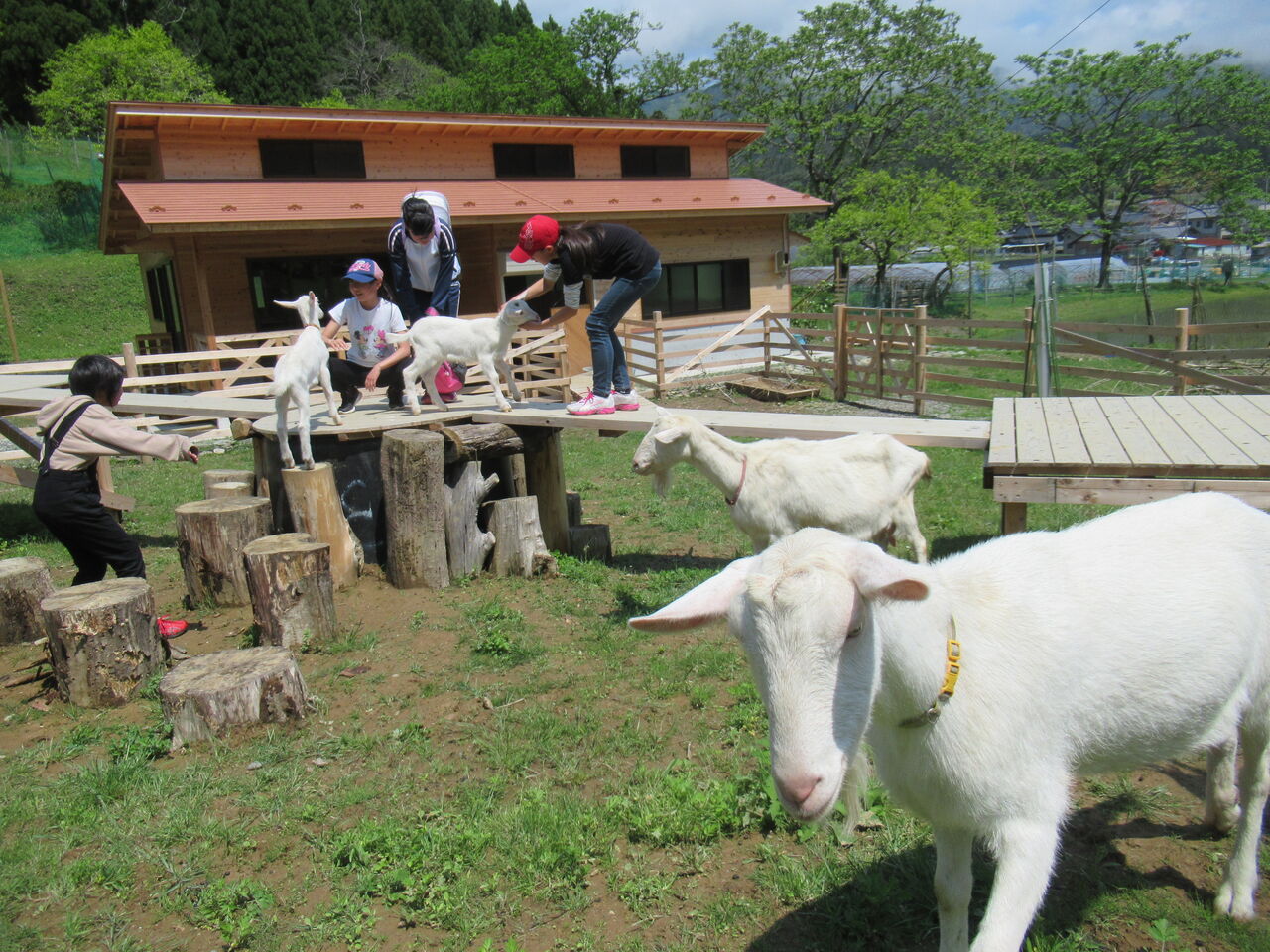 生き物に興味津々の綾里っ子 大小迫 つむぎの家