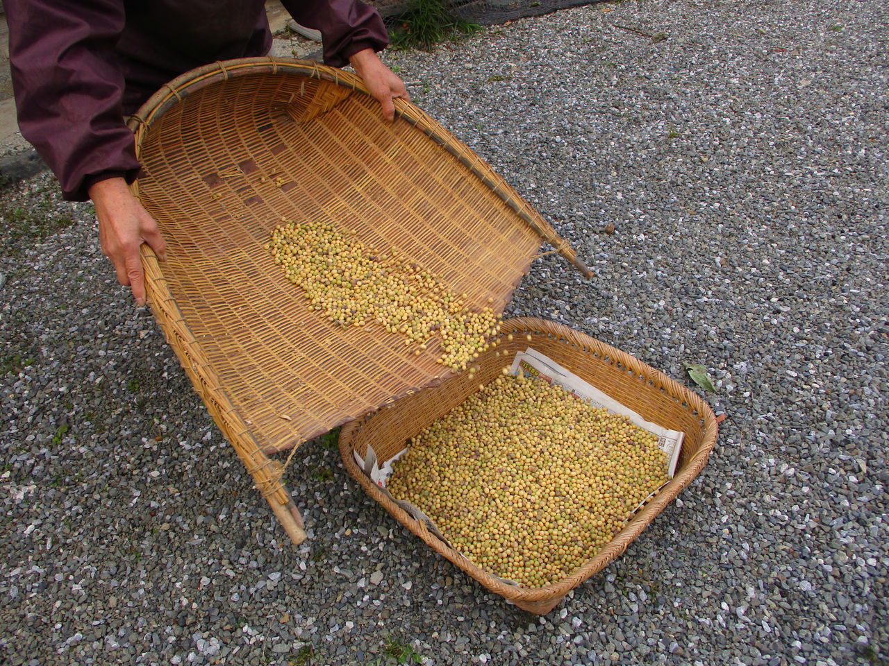 今年も活躍しました「唐箕」「箕」 : 大小迫 つむぎの家