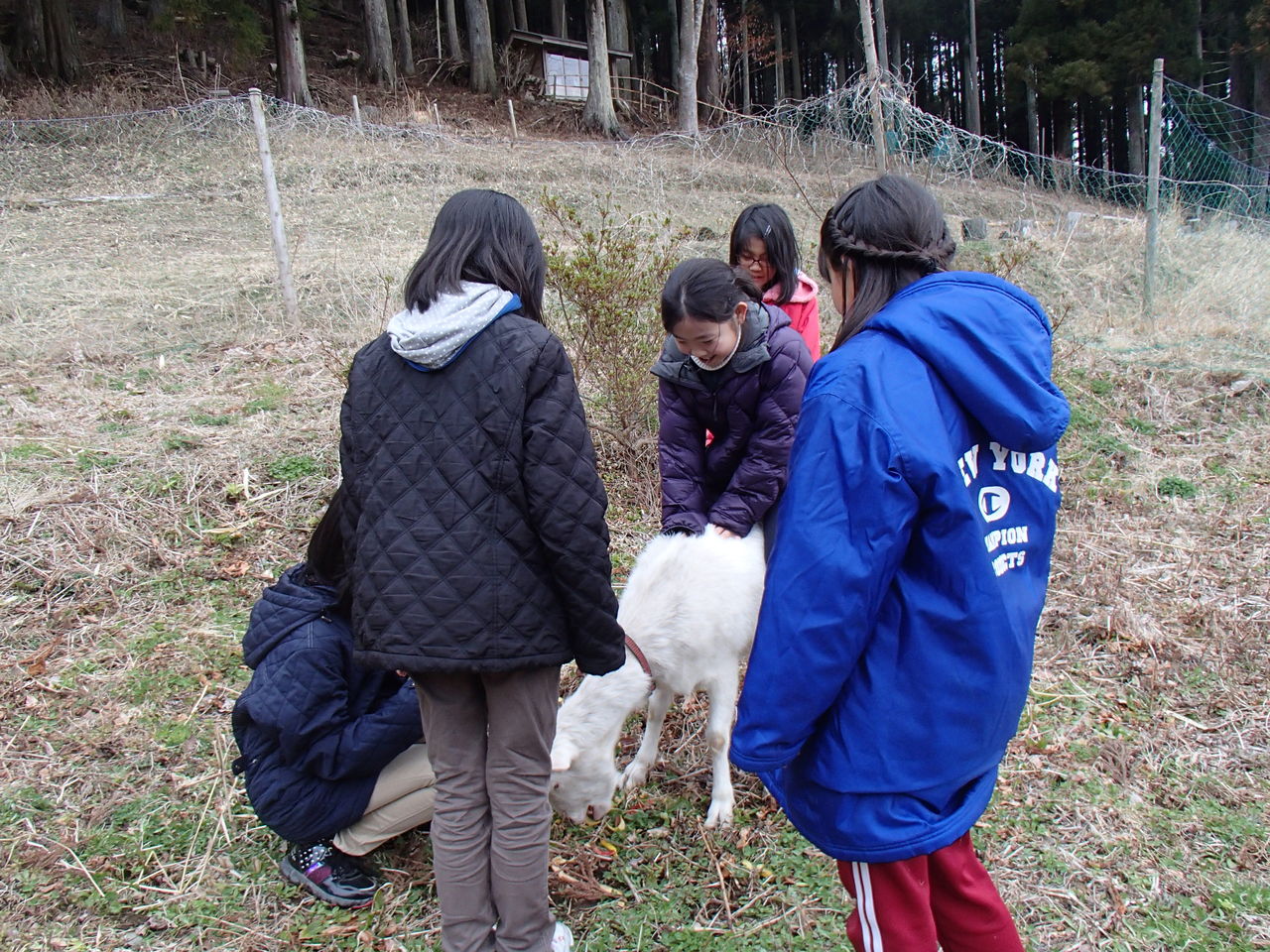 動物と触れ合って遊んだ春休み 大小迫 つむぎの家