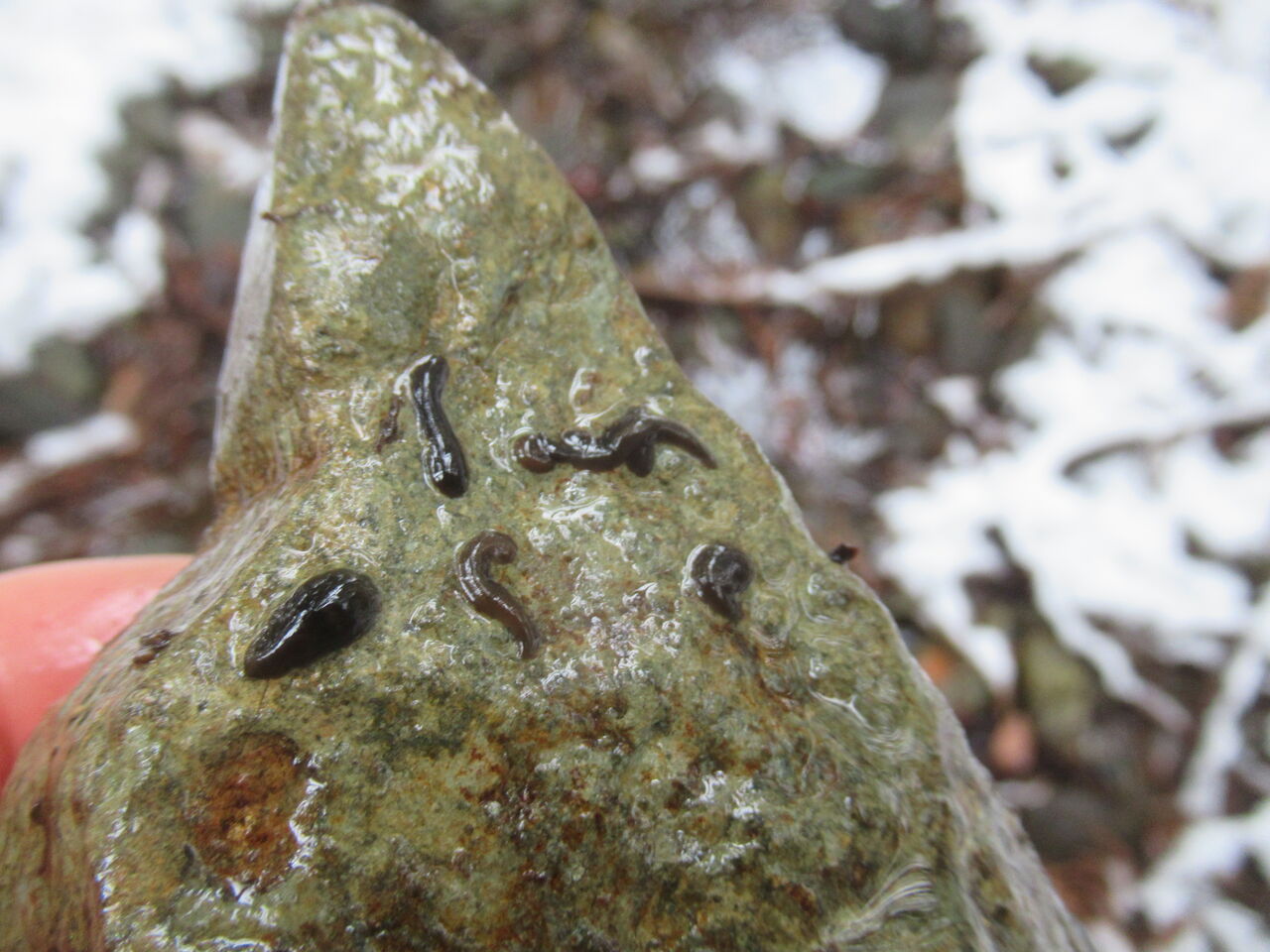 小迫川の源流に向かって その2 大小迫 つむぎの家 小迫川の源流に向かって その2 大小迫 つむぎの家