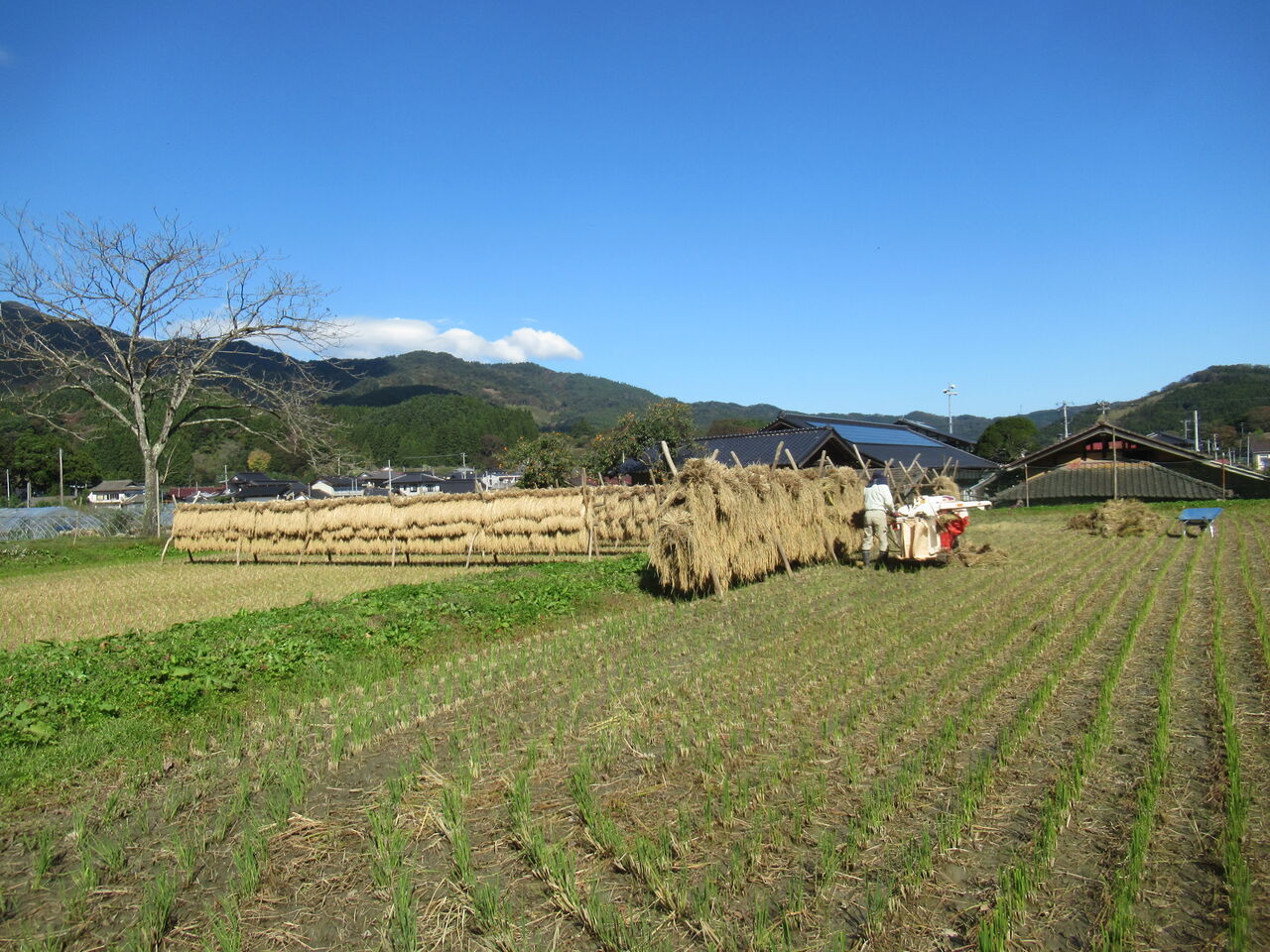 令和2年の 脱穀 を終えました 大小迫 つむぎの家