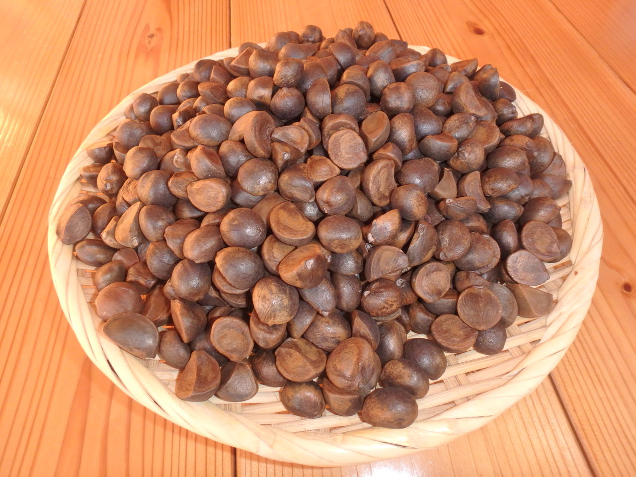 ツバキ油を搾る 大小迫 つむぎの家 ツバキ油を搾る 大小迫 つむぎの家