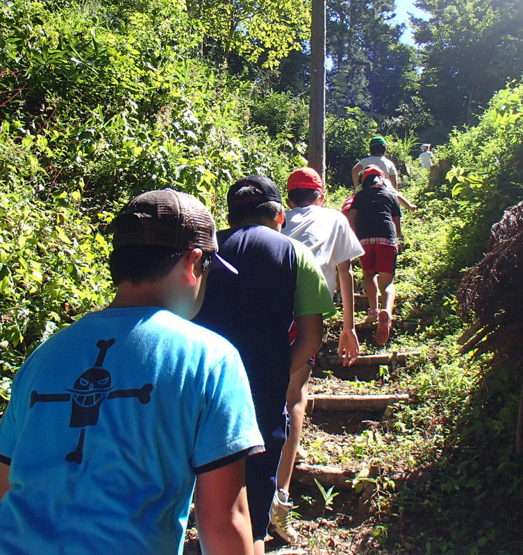 ヘチマと植樹の観察 五感を使って自然を観る 大小迫 つむぎの家