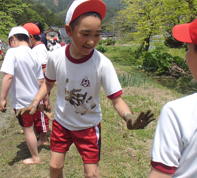 綾里小5年生の米作り体験 田植え 大小迫 つむぎの家 綾里小5年生の米作り体験 田植え 大小迫 つむぎの家