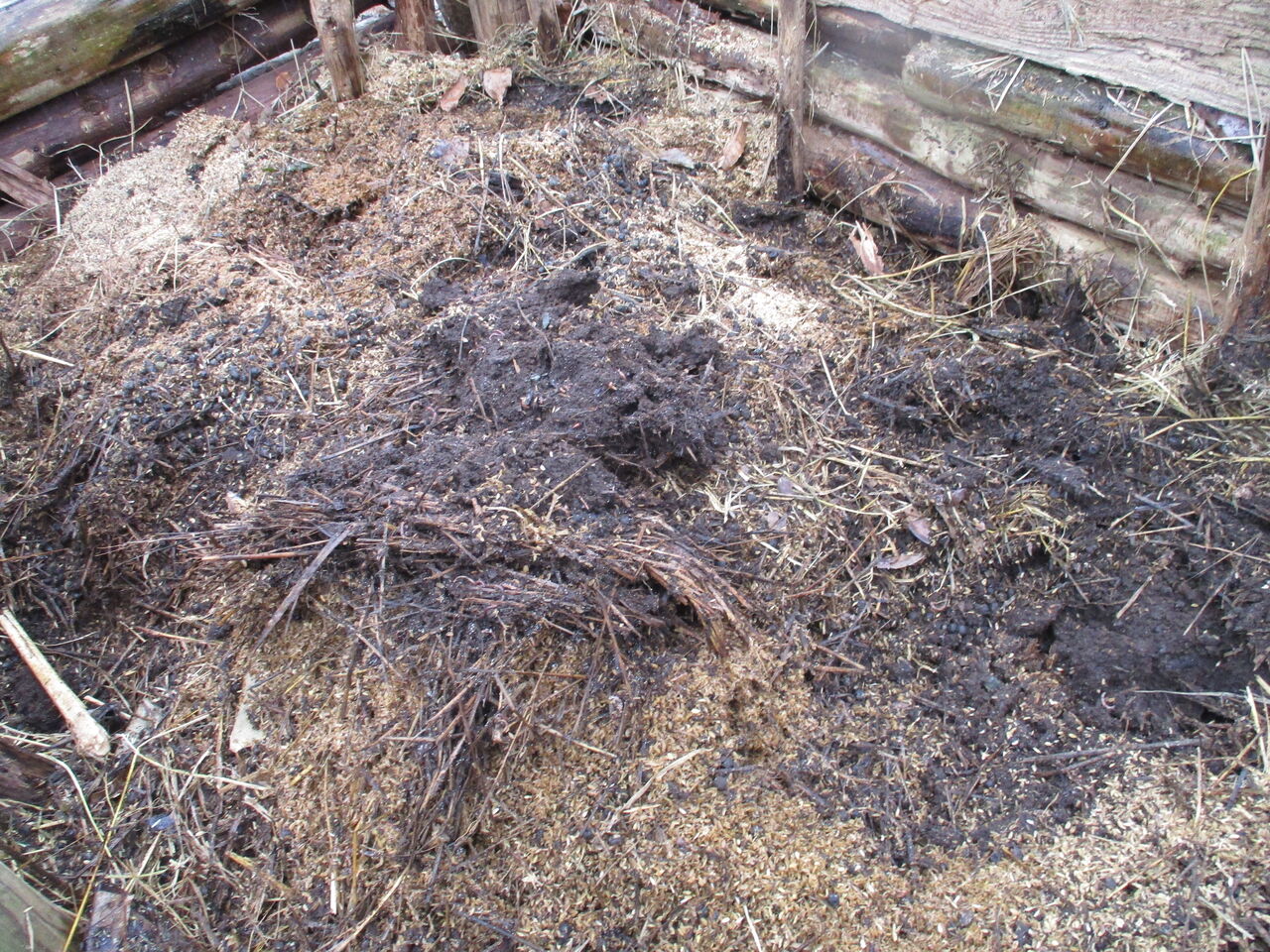 命の糸をつぐむミミズ 大小迫 つむぎの家