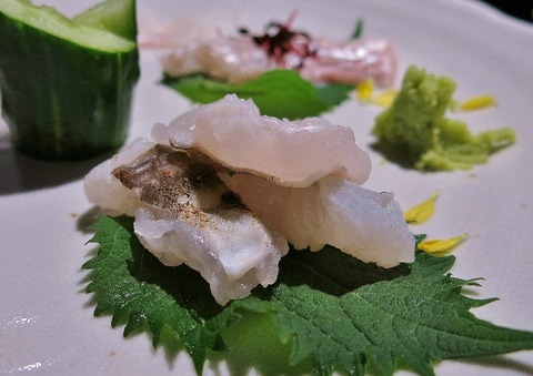 IMG_8334 (800x565)