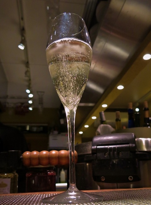 IMG_1109 (552x750)