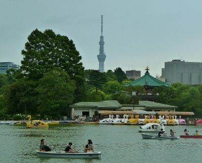 オススメ・おでかけ・レストラン