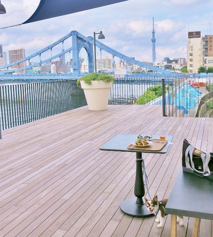 清澄の 川床テラスでｂｂｑランチ 隅田川 オススメ おでかけ レストラン