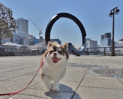 オススメ・おでかけ・レストラン