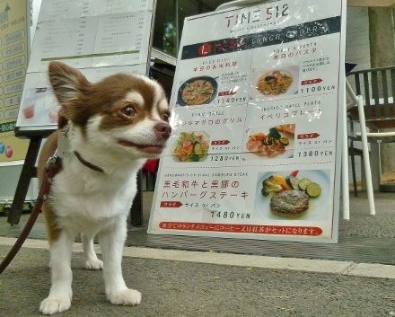 オススメ・おでかけ・レストラン