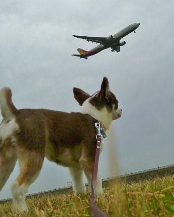 オススメ・おでかけ・レストラン