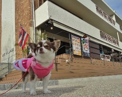 オススメ・おでかけ・レストラン