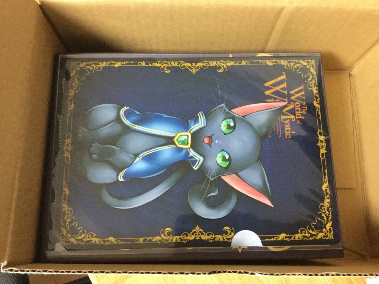 サウンドトラックがやってきた 黒猫のウィズ ユキの黒猫のウィズまったり日記 黒ウィズプレイ日記ブログ サウンドトラックがやってきた 黒猫のウィズ ユキの黒猫のウィズまったり日記 黒ウィズプレイ日記ブログ