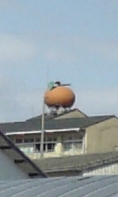 みかん みかん みかん 唐津日記