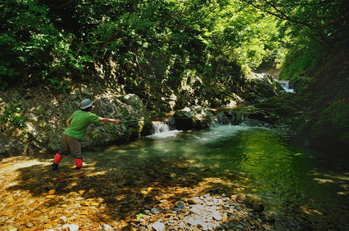ginzandaira2012_5