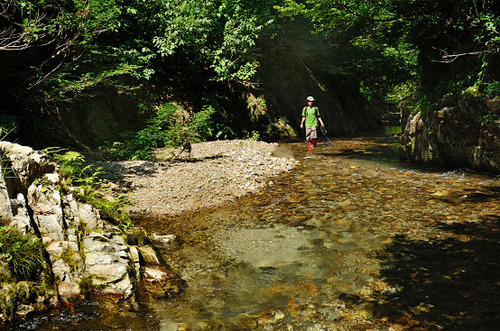 ginzandaira2012_4