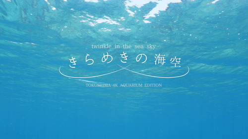きらめきの海空_石井友規01