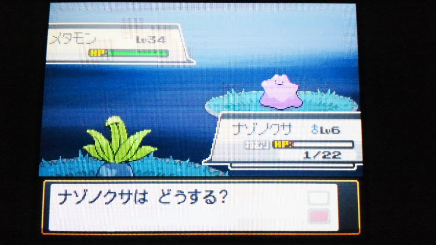 乱数調整 野生乱数 Hgss Dppt 雪の舞う夜に