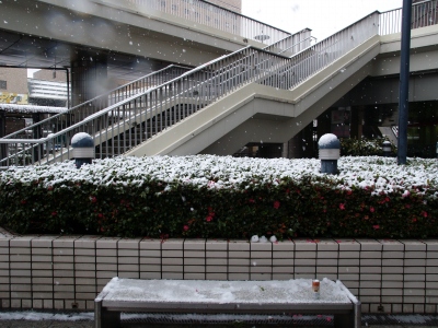ベンチ